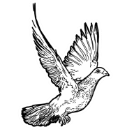 October 29 Update: Justice for Robert Brooks; NYC Overdose Deaths Plummet; Silicon Valley's Israeli Collusion; Election Deniers to 'Secure' Elections; Police Oversight Backsliding in Oakland; Homan & Noem at War; SoCal ICE Watching; Datacenter Desiccation